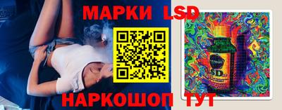 шишки Донской