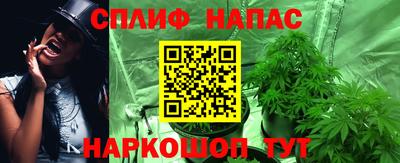 шишки Донской