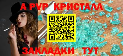 шишки Донской