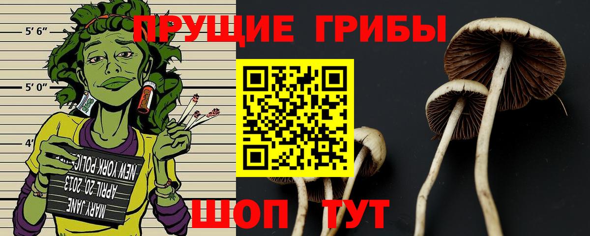 Псилоцибиновые грибы мухоморы Кузнецк